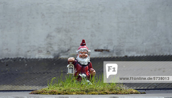 Night guard garden gnome oasis amongst concrete historic district Linz Upper Austria Austria Europe PublicGround