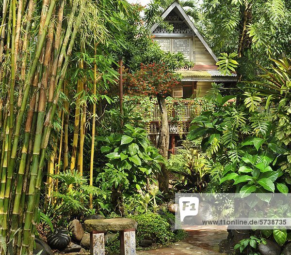 Philippinen  tropischen Garten