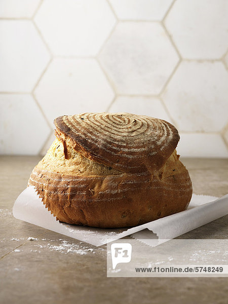 Frisch gebackenes Brot in Papier