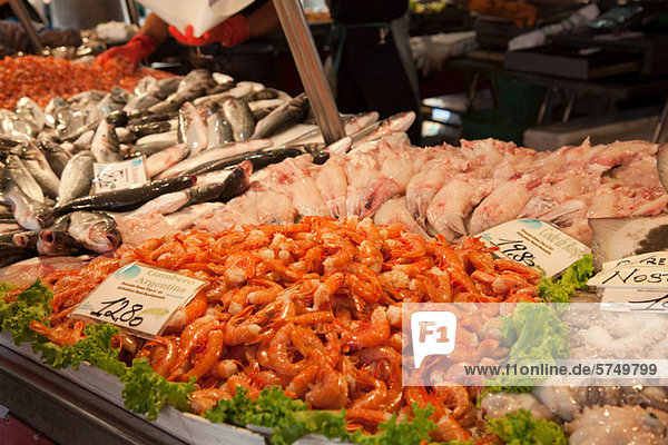 Fisch zum Verkauf in der Toskana  venedig  Italien