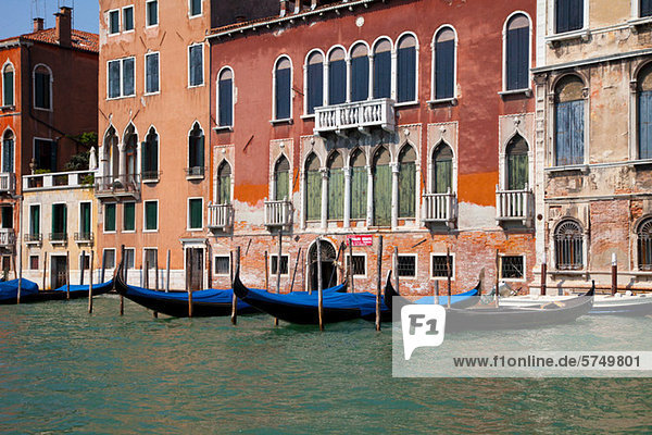 Palazzo tiepoletto  Venedig  Italien