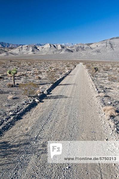 Empty Desert Road in Death Valley Nationalpark  Kalifornien  USA