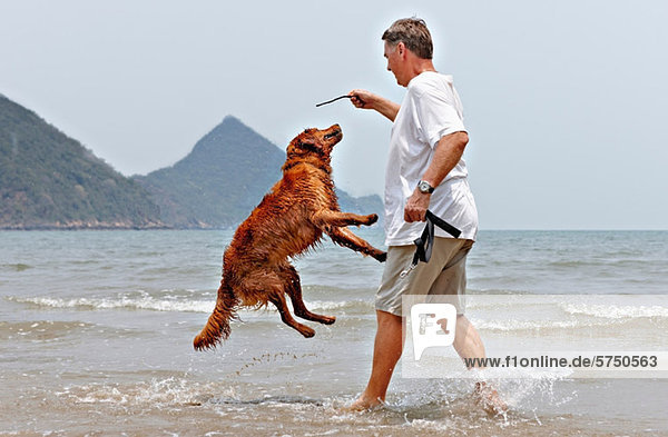 Man playing with dog on beach in Thailand