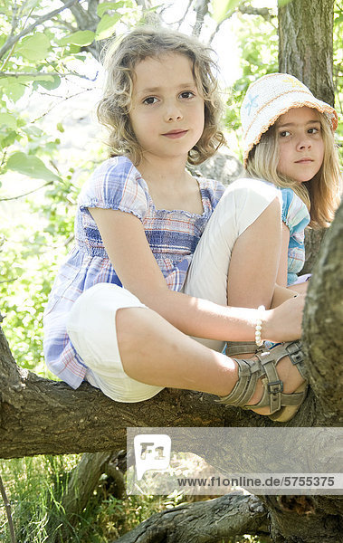 Zwei Mädchen sitzen im Baum