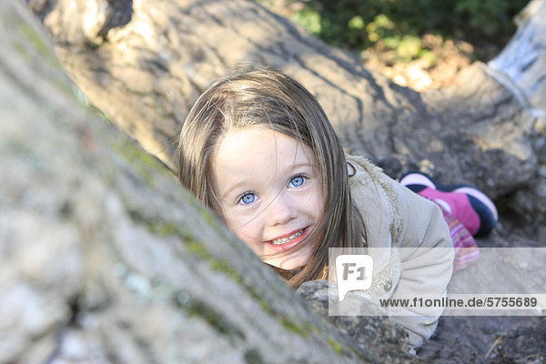 Dreijähriges Mädchen klettert auf einen Baum