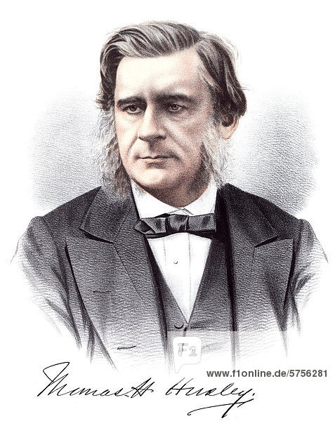 Historische Chromolithographie aus dem 19. Jahrhundert  Portrait von Thomas Henry Huxley  1825 - 1895  ein englischer Biologe und Anatom