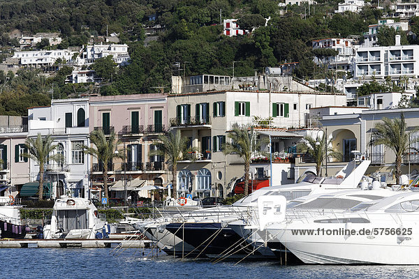 Yachts in Casamicciola Terme  Ischia Island  Gulf of Naples  Campania  Southern Italy  Italy  Europe