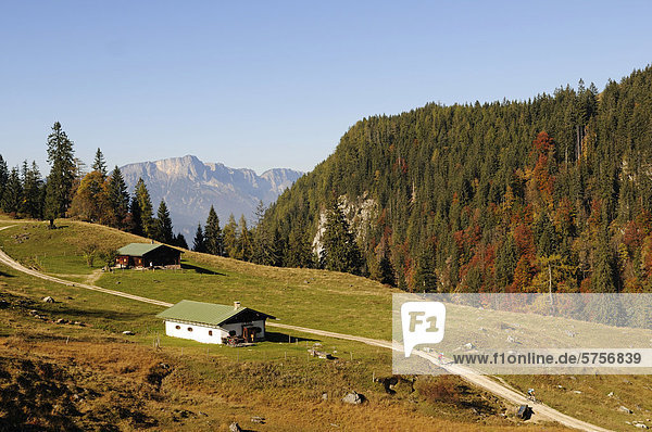Route to Gotzenalm alp  Berchtesgadener Land district  Upper Bavaria  Bavaria  Germany  Europe