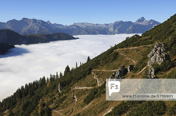 Blick vom Jenner auf den Schneibstein  Berchtesgadener Land  Oberbayern  Bayern  Deutschland  Europa