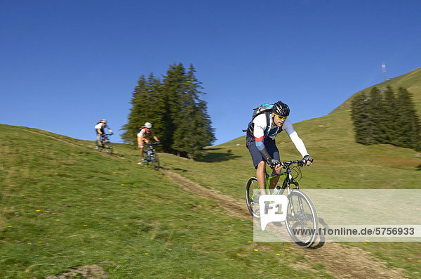 Mountain bikers  Mt Hohe Salve  Kitzbuehel Alps  Tyrol  Austria  Europe