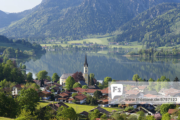 Blick über Dorf und See Schliersee  Bayerische Alpen  Oberbayern  Bayern  Deutschland  Europa