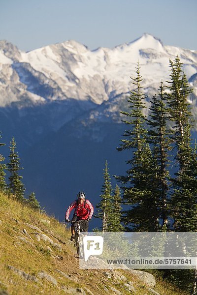 Mountain biking in whister british columbia  canada.