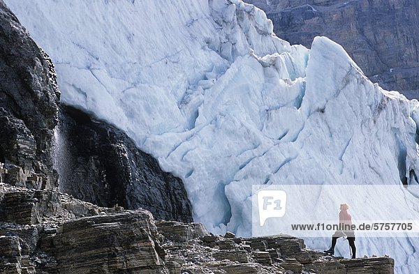 Männliche Wanderer steht auf Felsen-Kante mit massiven Athabasca-Gletscher im Hintergrund  Kanadische Rocky Mountains  Alberta  Kanada.