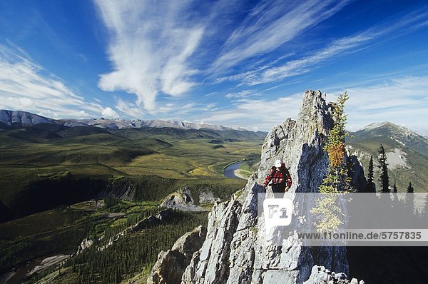 Young woman hiking dolomite outcropping on Sapper Hill  Northern Ogilvie Mountains  Yukon  Canada.