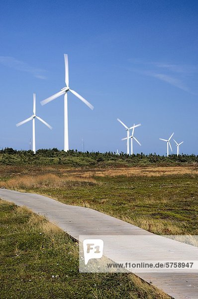 Prüfung Wind Atlantischer Ozean Atlantik Windpark Kanada Nordkapp Prince Edward Island