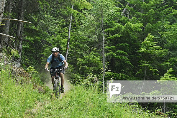 Man Fahrräder den Seven Summits-Trail Rossland  British Columbia  Kanada.