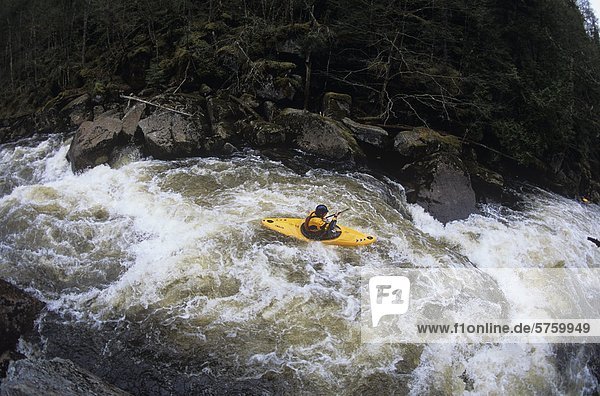 Man whitewater kayaking in Nielson River  Quebec  Canada.