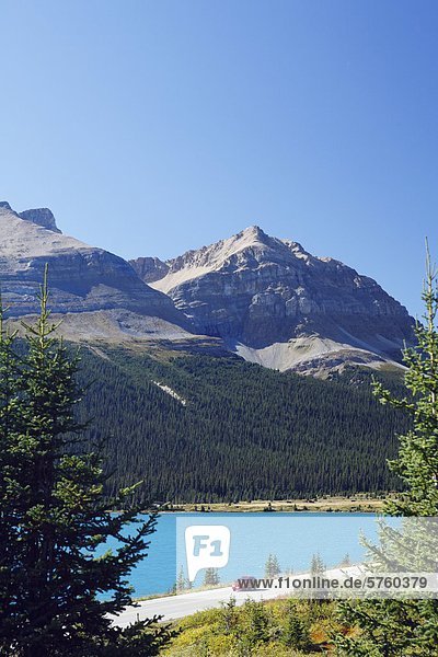 Auto Touren entlang der ganzen Welt berühmte Icefields Parkway am Bow Lake im Banff-Nationalpark in den kanadischen Rocky Mountains  Alberta  Kanada.