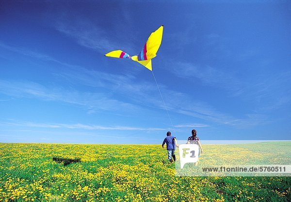 Kinder laufen mit Kite-Feld der Kleeblatts  Winnipeg  Manitoba  Kanada