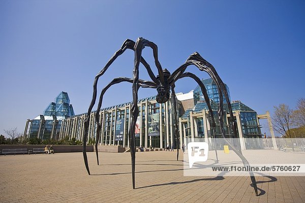 Spinne Skulptur mit dem Namen Maman außerhalb der National Gallery of Canada in der Hauptstadt Ottawa  Ontario  Kanada