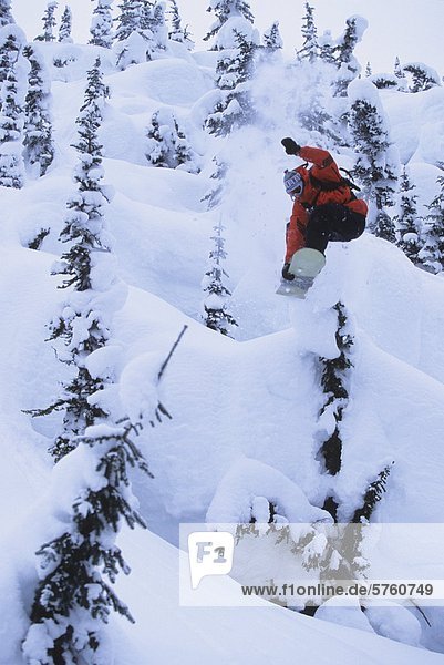 Pass ist ein Snowboarder springt die Kissen in den Lichtungen bei Roger  Glacier Nationalpark  British Columbia  Kanada