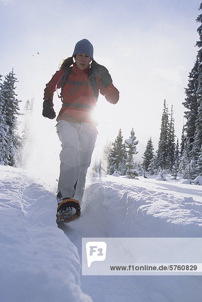Führen Sie eine junge weibliche Schneeschuhwanderer genießen ein Wintermorgen in Kananaskis Country  Alberta  Kanada