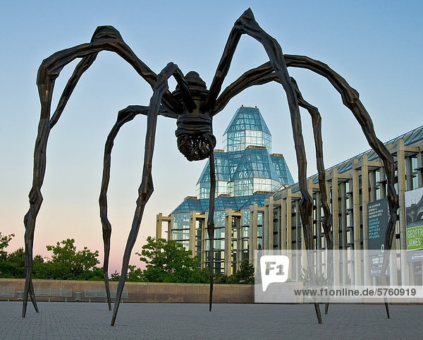 Spinne Skulptur mit dem Namen Maman außerhalb der National Gallery of Canada in der Hauptstadt Ottawa  Ontario  Kanada