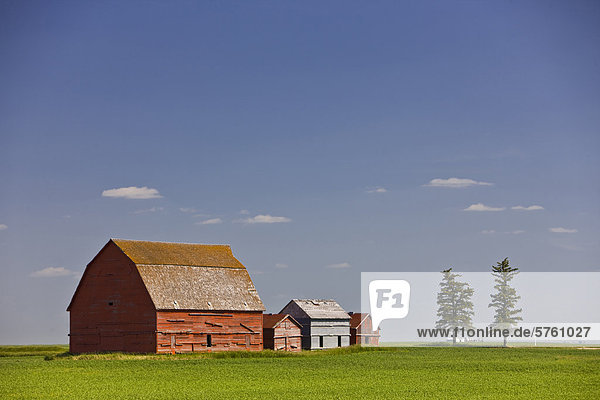Red Scheunen in der Mitte des eine große flat-Field im Prairie Land der südliche Saskatchewan  Kanada