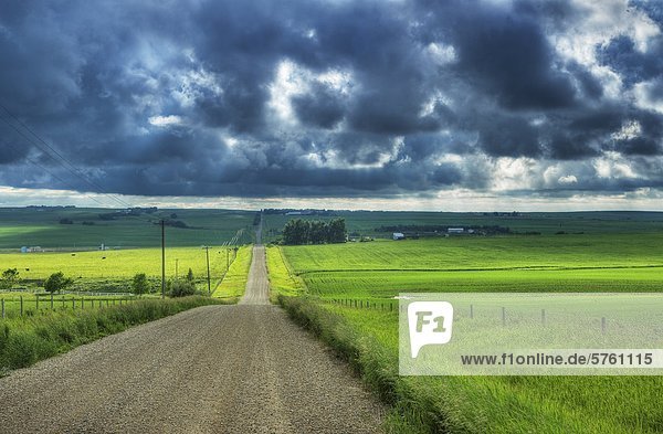 Landstraße mit Gewitterwolken nahe Cremona  Alberta  Kanada