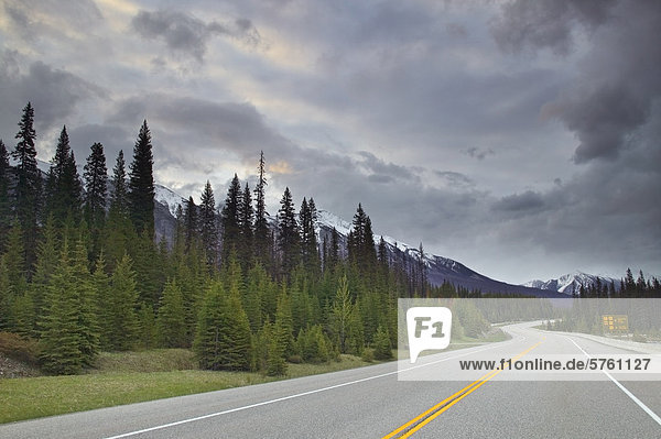 Banff-Windermere Highway (Kootenay Parkway) an das Vermilion Crossing  Kootenay Nationalpark  British Columbia  Kanada