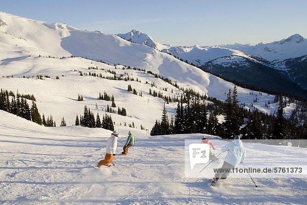 Skiers and snowboarders heading downhill  Blackcomb Mountain  Whistler  British Columbia  Canada