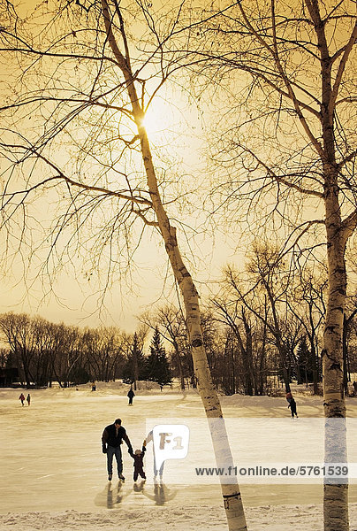 Mutter  Vater und Kind mit dem Eiskunstlaufen St. Vital Park  Winnipeg  Manitoba  Kanada