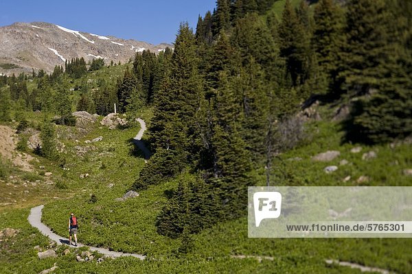 Ein Wanderer entdecken die Spuren des Sunshine Wiesen  Banff-Nationalpark  AB
