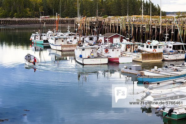 Dories  Leonardville wharf  Deer Island  Bay of Fundy  New Brunswick  Canada