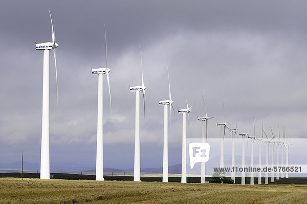 Windturbine Windrad Windräder nahe Bach Alberta Kanada