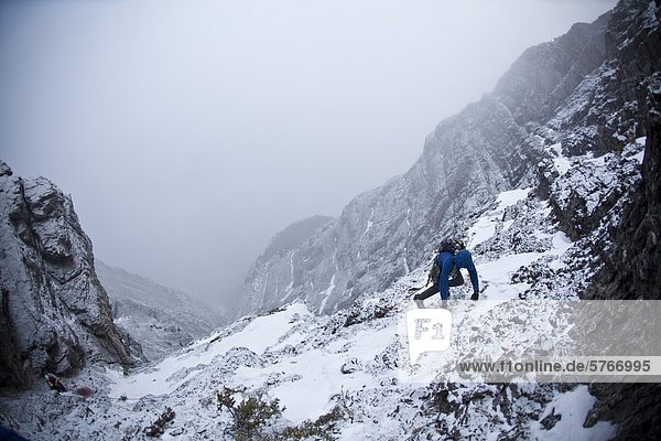 A man alpine climbing - Coire Dubh Integrale 5.7  WI3  Canmore  Alberta  Canada