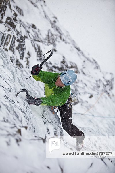 A strong female ice climber works her way up Snowline WI4  Even Thomas Creek  Kananaskis  Alberta  Canada
