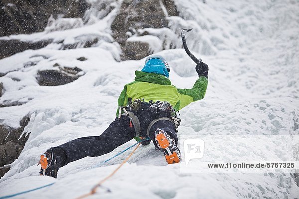 A strong female climber ice climbs Moonlight WI4  Even Thomas Creek  Kananaskis  Alberta  Canada
