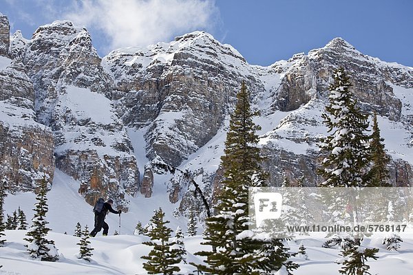 Eine männliche Telemark-Skifahrer-Skins seinen Weg bis in die alpinen  Icefields Parkway  Banff Natinoal Park  Alberta  Kanada