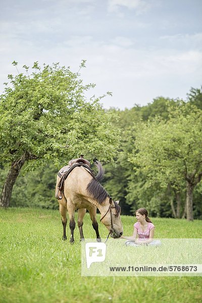 Girl and Paint Horse  Traishof  Koenigsbach-Stein  Baden-Wuerttemberg  Germany  Europe