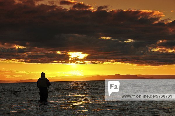Mann Fliegenfischen  Lake Taupo  Nordinsel  Neuseeland