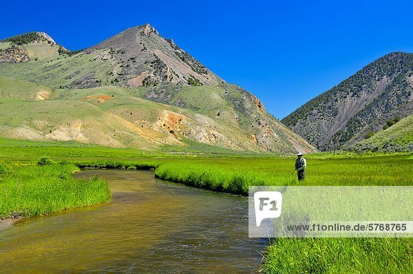Mann  Fliegenfischen  Sheep Creek  Montana  Vereinigte Staaten von Amerika