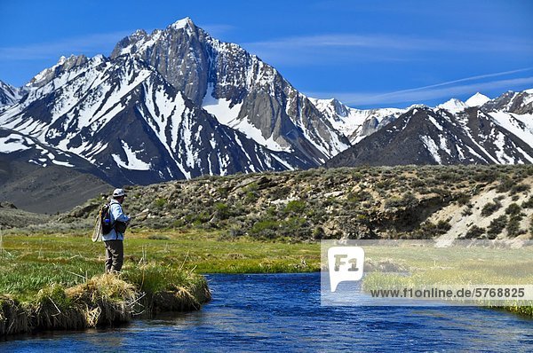 Man fly fishing  Hot Creek  California  United States of America