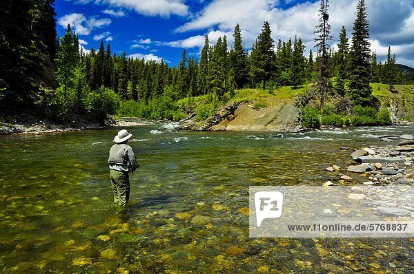 Mann  Fliegenfischen  Oldman River  Alberta  Kanada