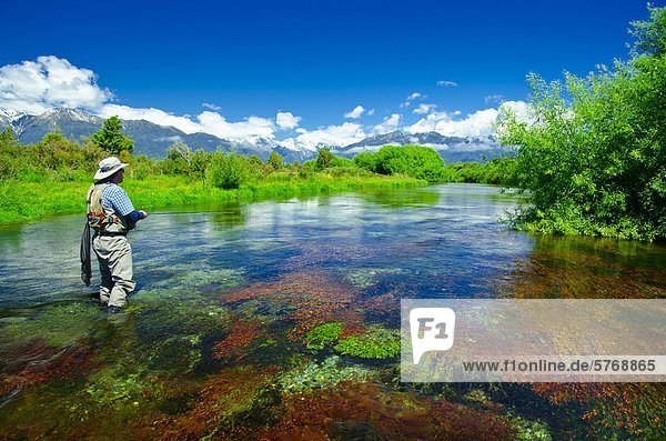 Mann Fliegenfischen  Spring Creek  Südinsel  Neuseeland