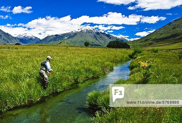 Man fly fishing  Spring Creek  South Island  New Zealand