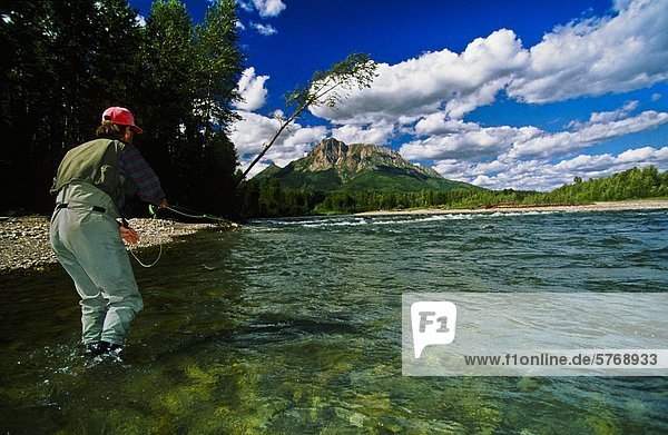 Man fly fishing  Elk River  Fernie  British Columbia  Canada