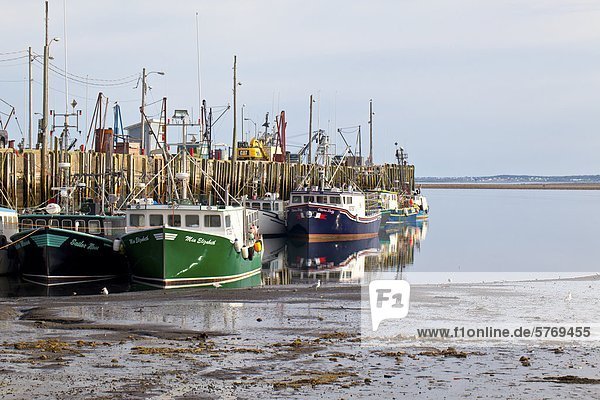 Fischerboote gefesselt nach wharf bei Ebbe  Bremerhaven  Bucht von Fundy  Nova Scotia  Kanada