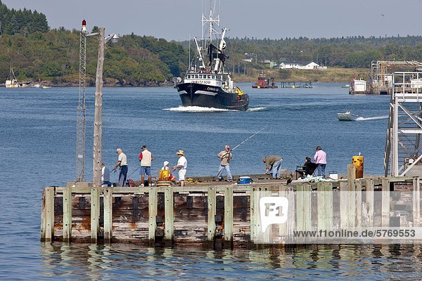People fishing for Mackerel while fishing boat leaves Blacks Harbour  Bay of Fundy  New Brunswick  Canada
