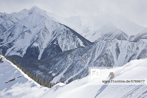 Young man skiing in Super Bowl  Kicking Horse Mountain Resort  British Columbia  Canada.